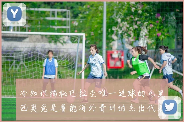 冷知识揭秘巴拉圭唯一进球的毛里西奥竟是鲁能海外青训的杰出代表