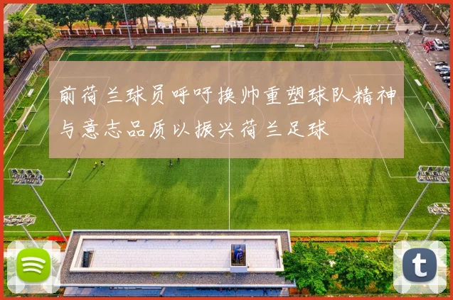 前荷兰球员呼吁换帅重塑球队精神与意志品质以振兴荷兰足球
